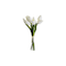 Soft Touch White Tulip Bundle